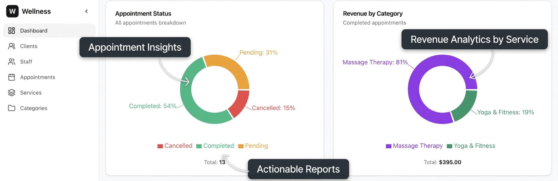 Wellness Manage analytics with appointment status and revenue by category charts